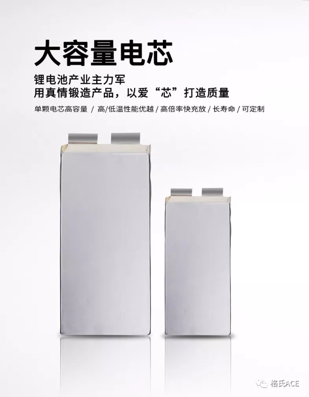 固體聚合物電解質(zhì)鋰離子電池