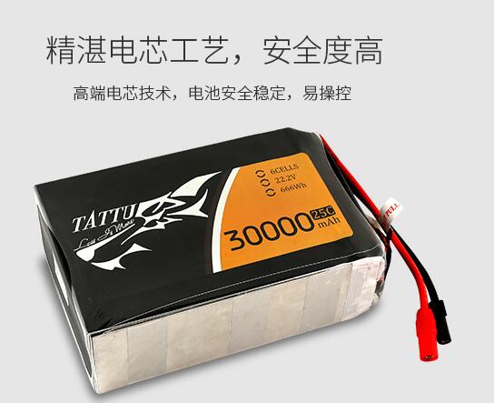 格氏Tattu電池